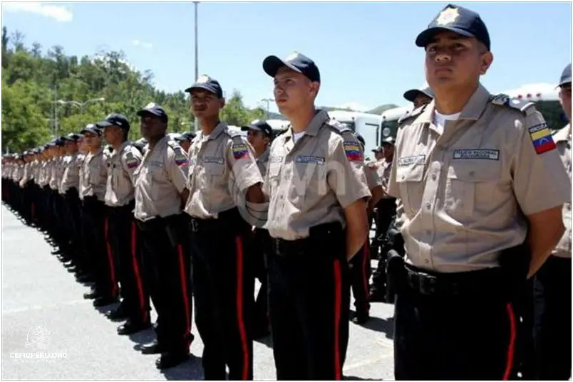 Descubre La Historia De La Policia Nacional Del Peru Octubre