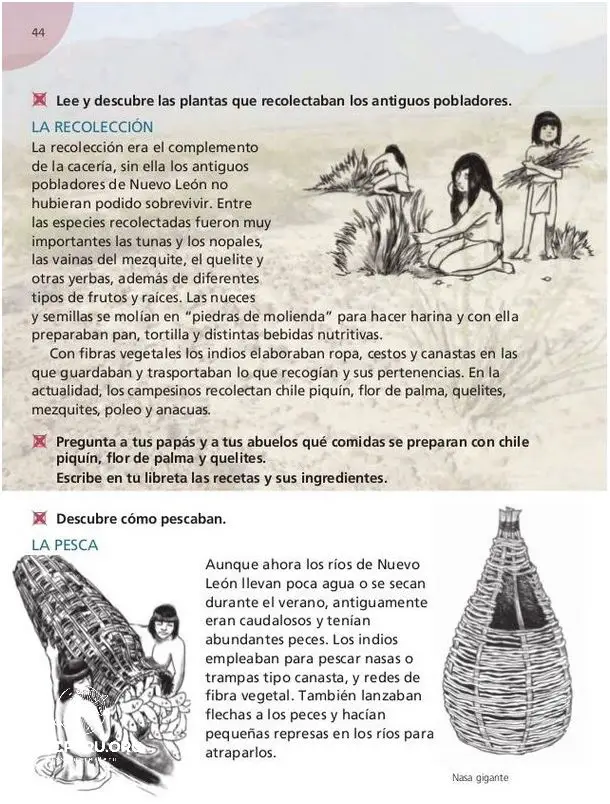 ¡Descubre Cómo Eran Los Primeros Pobladores Del Perú!