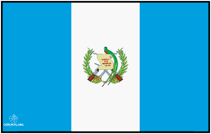 ¡Descubre el Orden de las Banderas del Perú!