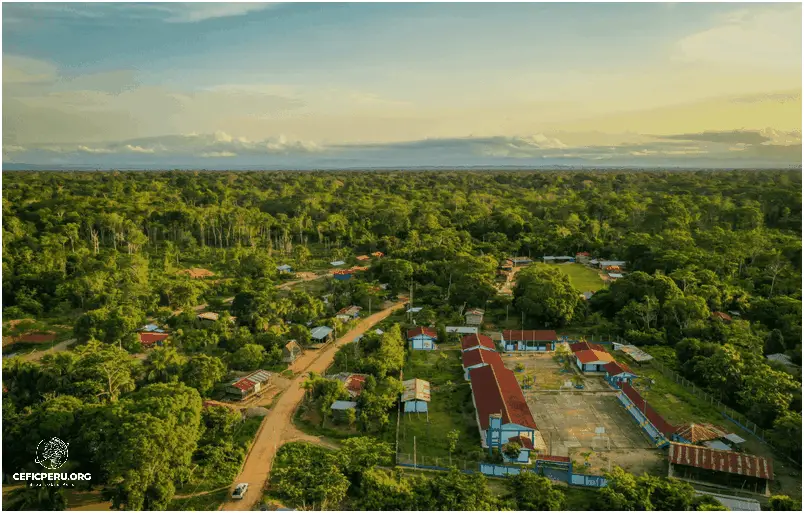 Descubre la Biodiversidad en el Perú: Flora y Fauna.