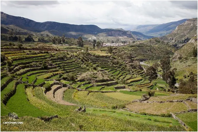 Descubre la maravillosa Mapa del Perú.