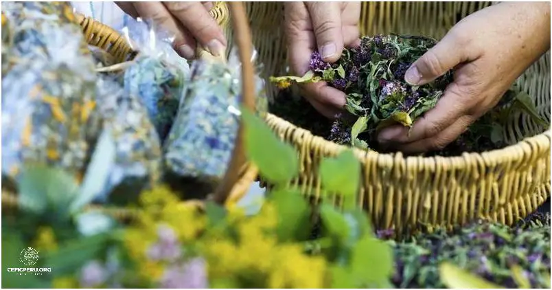 Descubre La Medicina Tradicional Del Perú.