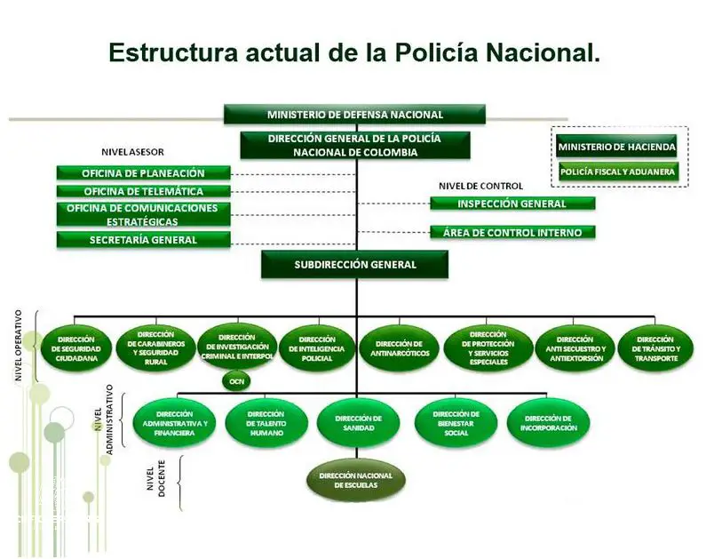 Descubre Las Especialidades De La Policia Nacional Del Peru