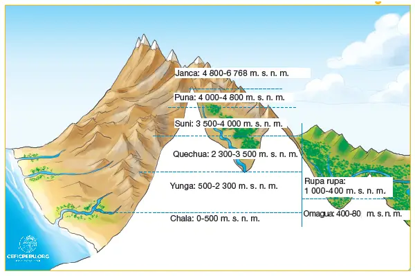 Descubre los Pisos Bioclimaticos en el Perú