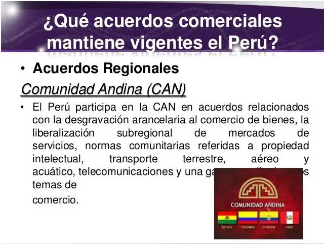 ¡Descubre Los Tratados Internacionales Del Peru!