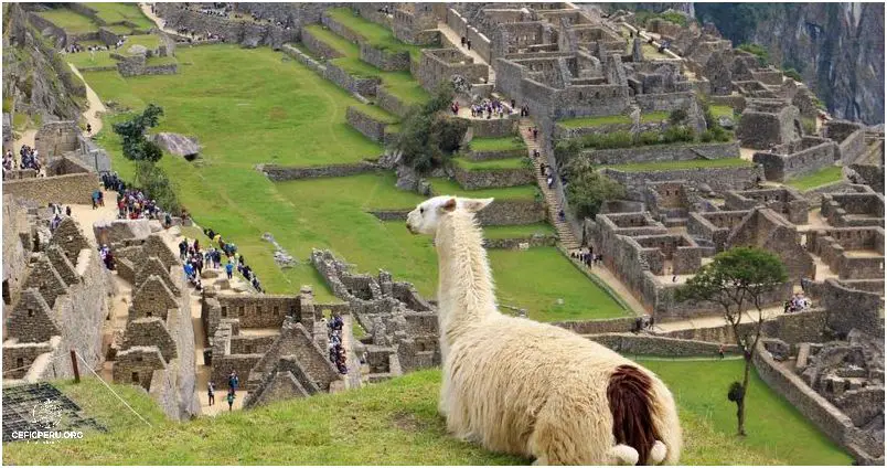 Explora las Impresionantes Dunas En Lima, Perú