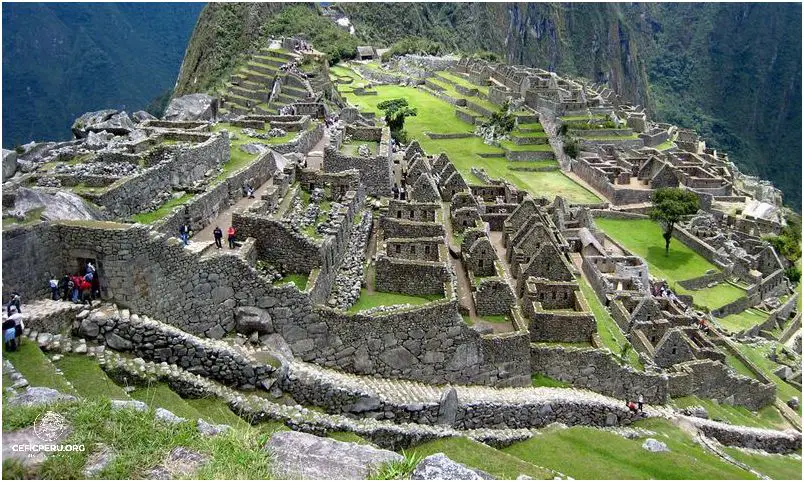 Impresionantes Imágenes De La Biodiversidad En El Perú