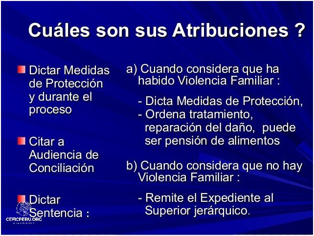La Ley Que Protege el Derecho Al Honor Y La Buena Reputacion En El Peru.