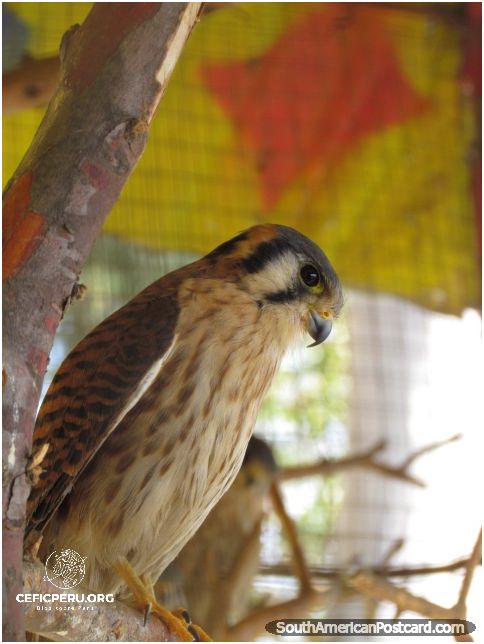 ¡Mira el Mapa de la Frontera Perú-Ecuador! ¡Mira el Mapa de la Frontera Perú-Ecuador!