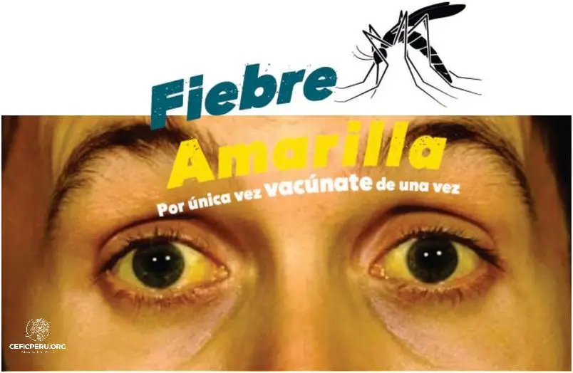 Vacuna Contra La Fiebre Amarilla: Perú Te Cuida