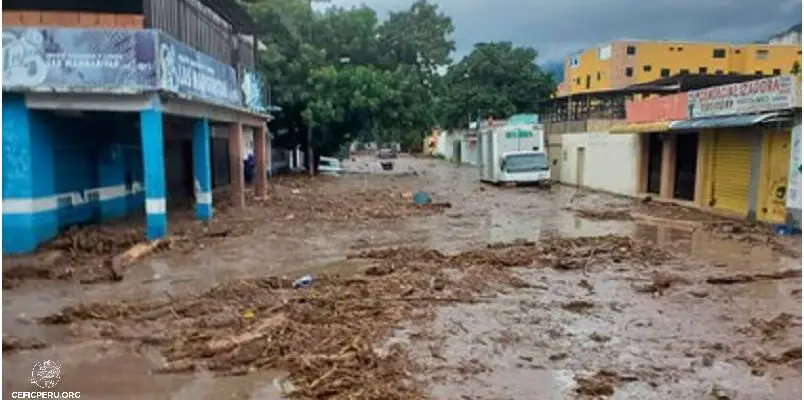 ¡Alerta!: Ciberbullying en el Perú.