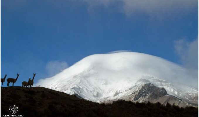 ¿Cómo Llamar A Bolivia Desde Perú?