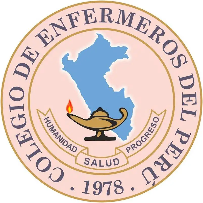 ¡¡Decana Nacional del Colegio de Enfermeros del Perú!!