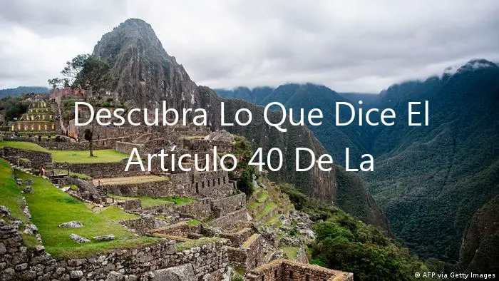 Descubra Lo Que Dice El Artículo 40 De La Constitución Política Del Perú