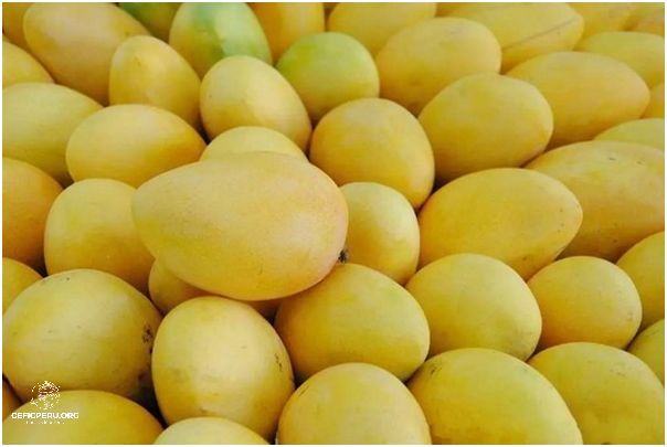 ¡Descubra los Proveedores De Mango En Peru!