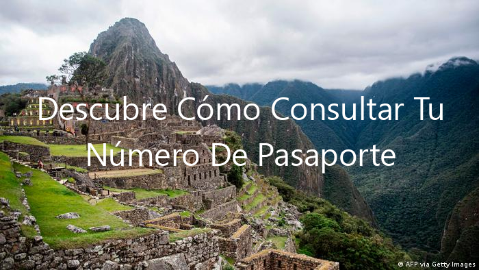Descubre Cómo Consultar Tu Número De Pasaporte Peruana
