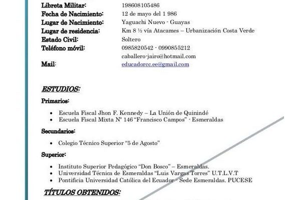 Descubre Curriculum Vitae Ejemplos Peru