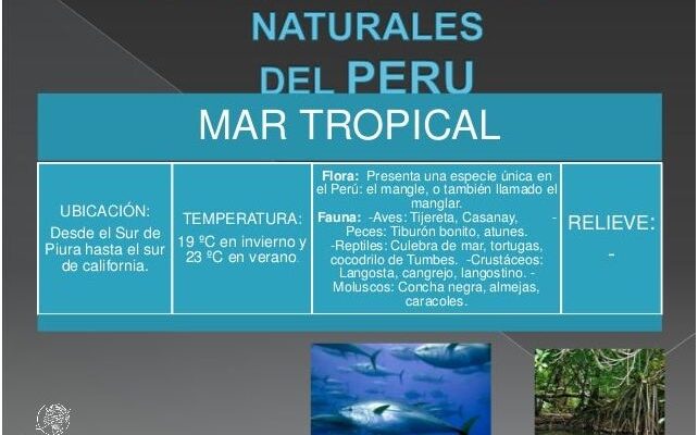 ¡Descubre El Desierto Del Pacifico Del Peru!