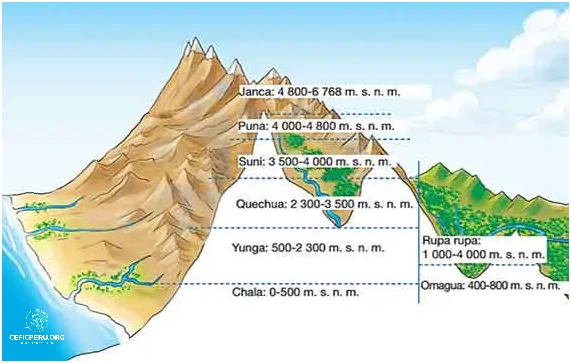 Descubre el Mapa Conceptual Del Peru Y Sus Regiones