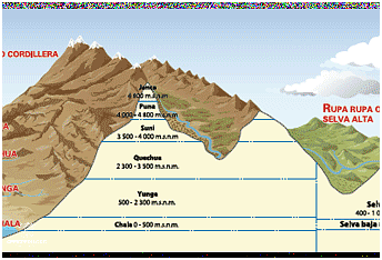 ¡Descubre la Densidad Poblacional De Peru!