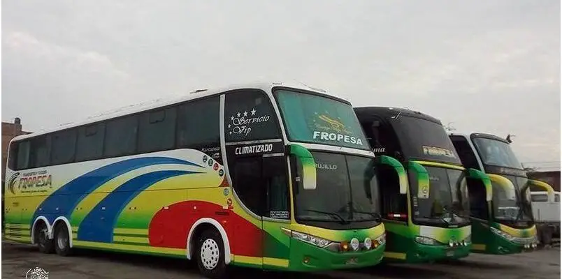¡Descubre la Nueva Empresa De Transporte Peru Bus!