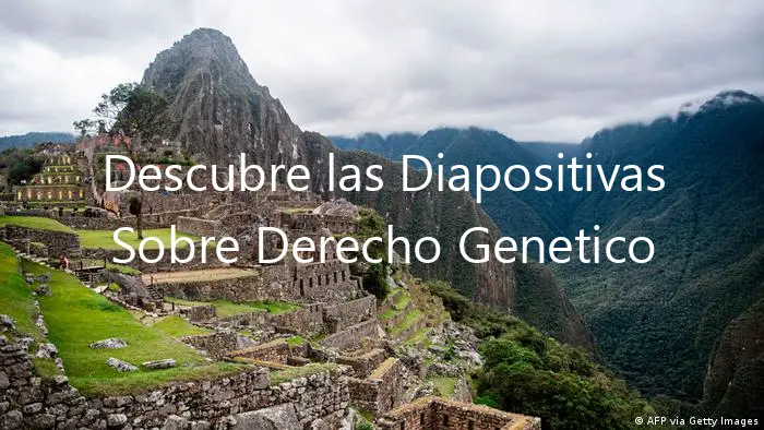 Descubre las Diapositivas Sobre Derecho Genetico En El Peru.