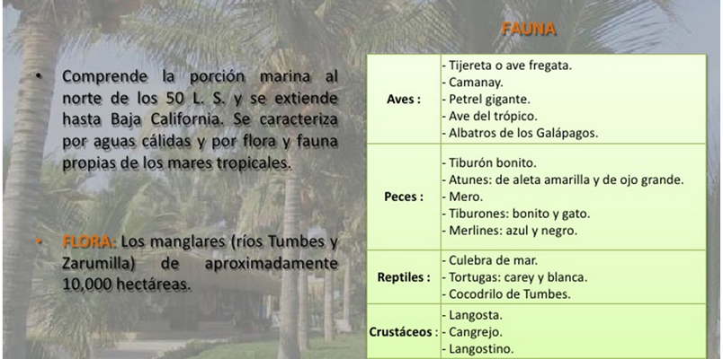 Descubre Las Ecorregiones Del Perú y Su Flora y Fauna!