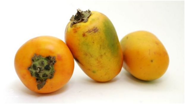 ¡Descubre las Frutas Oriundas Del Perú!