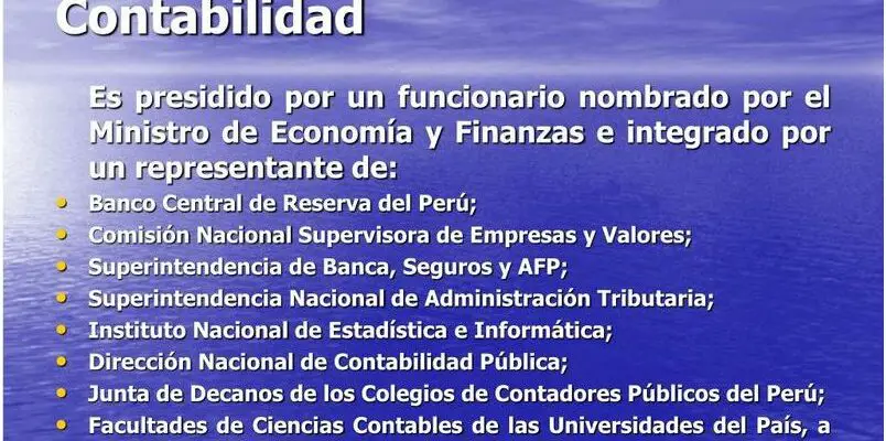 Descubre Las Funciones Del Consejo Normativo De Contabilidad Peru