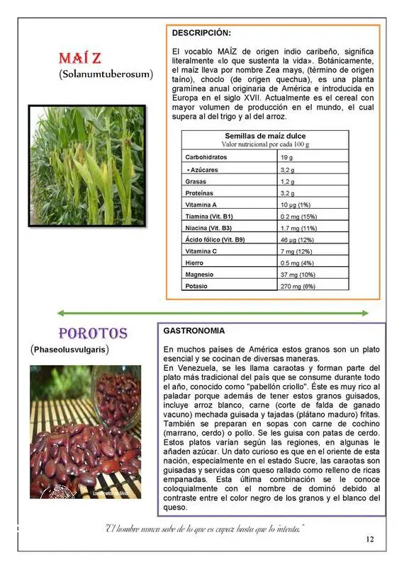 Descubre las Plantas Medicinales De Peru!