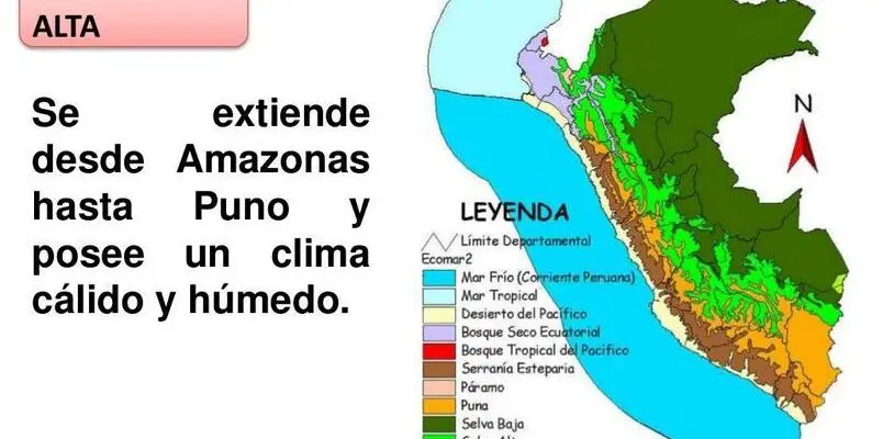 Descubre las Regiones Naturales Del Peru Para Colorear!