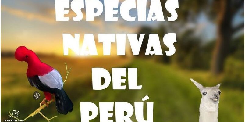 ¡Descubre Los Animales Nativos De Peru!