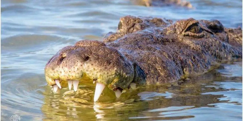 Descubre Los Ayllus Del Peru: ¡Una Experiencia Única!