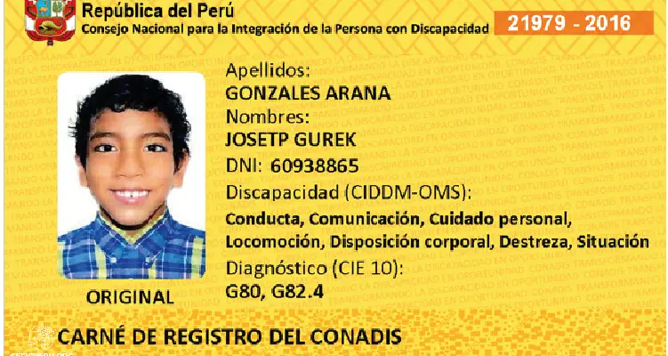 Descubre Los Beneficios De Personas Con Discapacidad En Peru