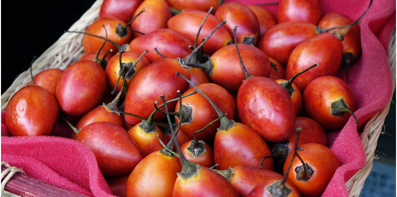 ¡Descubre los Beneficios del Tomate De Arbol Peru!