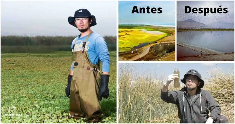 Descubre Los Departamentos Del Perú Más Contaminados