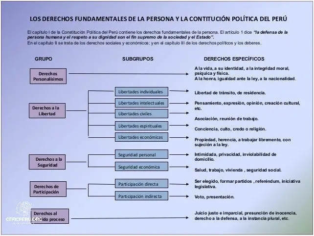 ¡Descubre los Derechos Fundamentales de la Constitución Política del Perú!