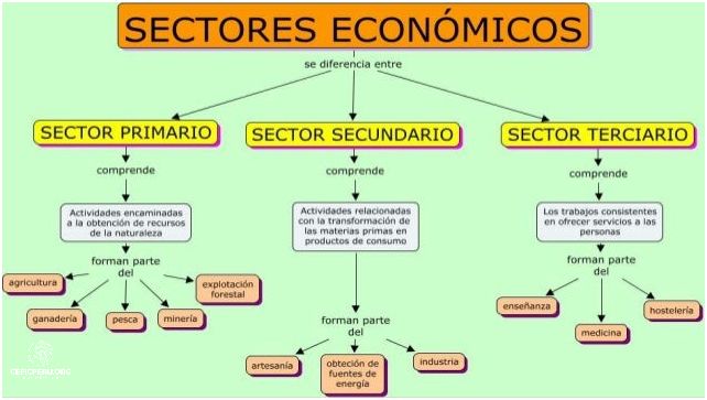 Descubre los Sectores Económicos del Perú