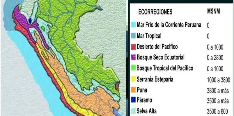 Descubren la Biodiversidad Genética Del Perú