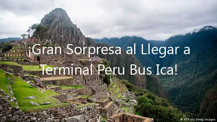 ¡Gran Sorpresa al Llegar a Terminal Peru Bus Ica!