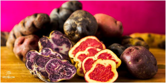 ¡Hoy Es Día Feriado En Perú!