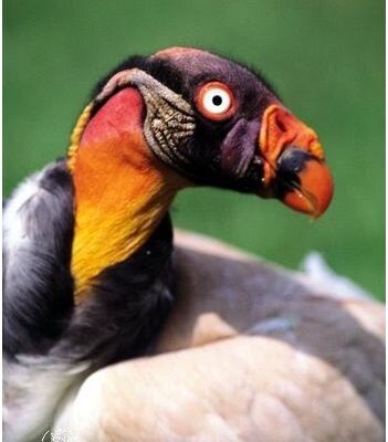 ¡Impactante! ¡El Clima Seco En Peru!