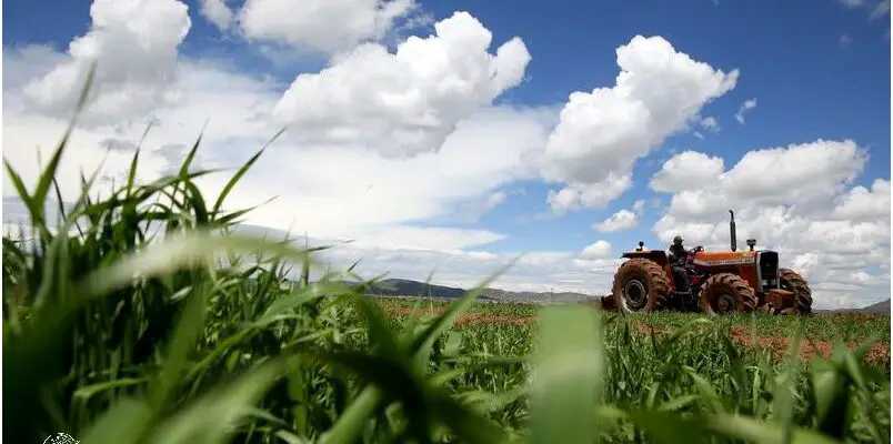 ¡Impacto De La Agricultura En La Economía Del Perú!