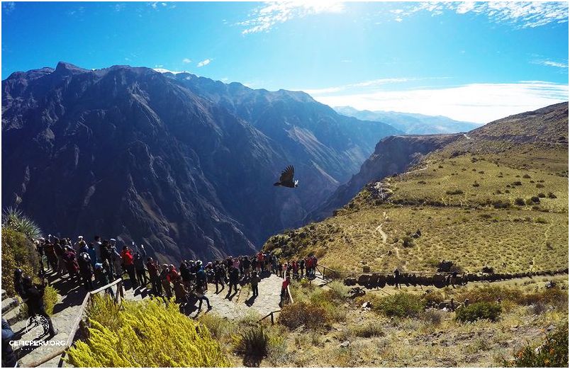 ¡Impresionante! Así es la Cruz Del Condor en Perú