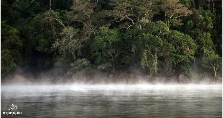 ¡Increíble! Descubren el Rio Hirviente Amazonas en Perú