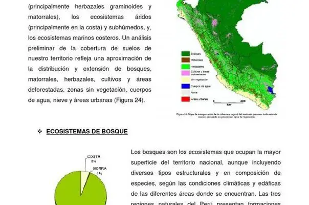 ¡La Montaña Mas Alta De Peru Revelada!