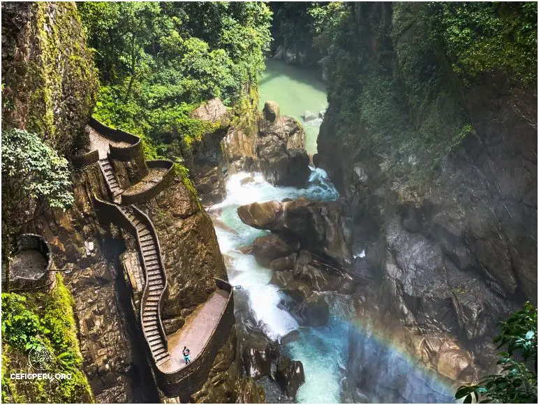 ¡Mira Las Increíbles Imágenes De Escudo Nacional Del Perú!