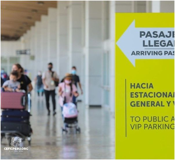 Perú Alcanza 11 Medallas Olímpicas! Noviembre 2024