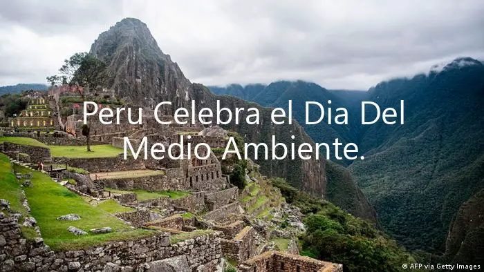Peru Celebra el Dia Del Medio Ambiente.