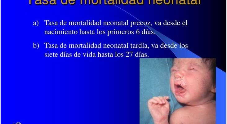 ¡Sorprendente: Tasa De Mortalidad En El Peru!